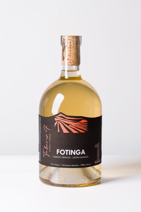 Fotinga AC700-LB1300